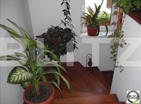 Casa de vânzare 1 camera Campului - 18515CV | BLITZ Cluj-Napoca | Poza5