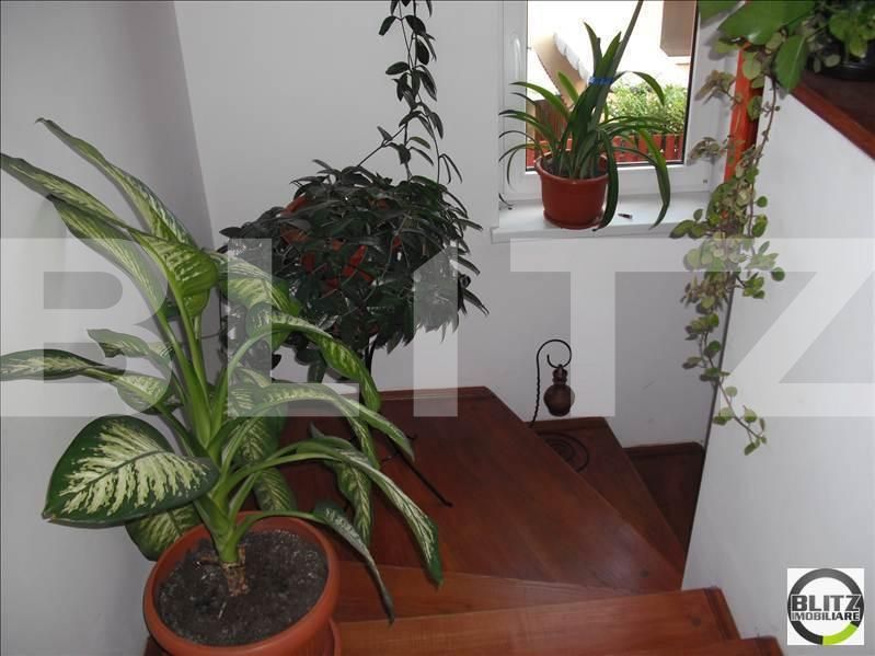 Casa de vânzare 1 camera Campului - 18515CV | BLITZ Cluj-Napoca | Poza5