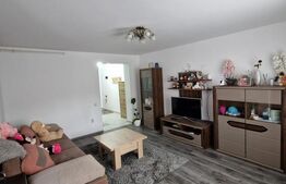 Apartament 2 camere, 55 mp, zona Tractorul