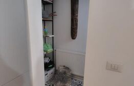 Cabană cochetă 4 camere, 143 mp teren, în Someșu Cald