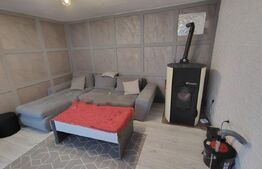 Cabană cochetă 4 camere, 143 mp teren, în Someșu Cald