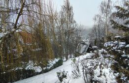 Cabană cochetă 4 camere, 143 mp teren, în Someșu Cald