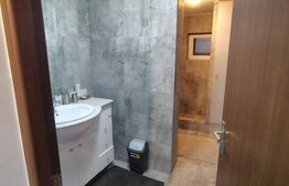 Cabană cochetă 4 camere, 143 mp teren, în Someșu Cald