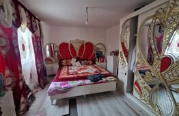 Casa parter teren 836 mp, 150 mp utili 2 corpuri , asfalt , langa Sercaia