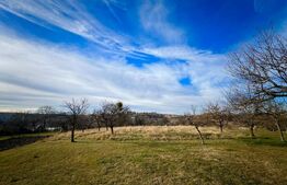 Exclusivist ! Teren intravilan de 2100mp in Feleacu !