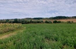 De vanzare teren Fundatura 27500mp - intravilan