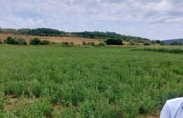 De vanzare teren Fundatura 27500mp - intravilan