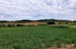 De vanzare teren Fundatura 27500mp - intravilan