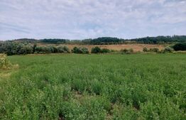 De vanzare teren Fundatura 27500mp - intravilan