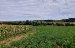 De vanzare teren Fundatura 27500mp - intravilan