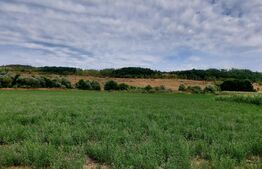 De vanzare teren Fundatura 27500mp - intravilan