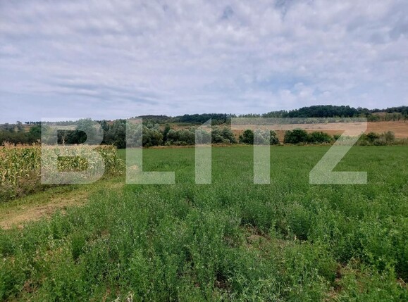 Teren de vânzare Răscruci - 185398TV | BLITZ Cluj-Napoca | Poza3