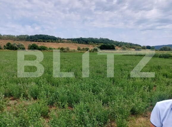 Teren de vânzare Răscruci - 185398TV | BLITZ Cluj-Napoca | Poza2