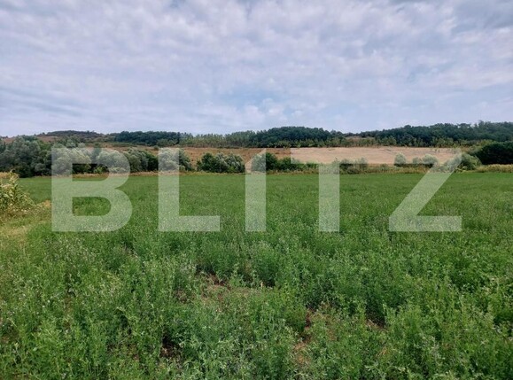 Teren de vânzare Răscruci - 185398TV | BLITZ Cluj-Napoca | Poza4