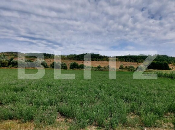 Teren de vânzare Răscruci - 185398TV | BLITZ Cluj-Napoca | Poza6