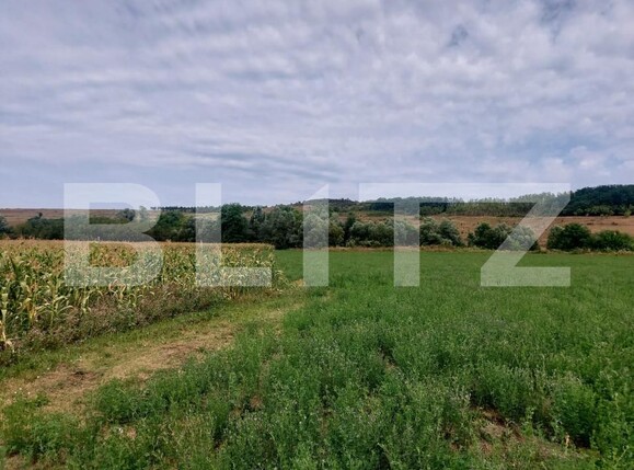 Teren de vânzare Răscruci - 185398TV | BLITZ Cluj-Napoca | Poza2