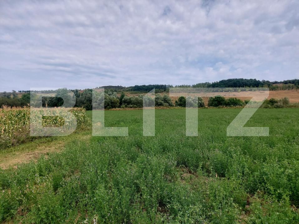 Teren de vânzare Răscruci - 185398TV | BLITZ Cluj-Napoca | Poza3