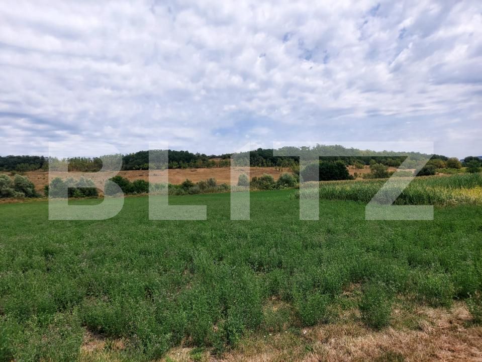 Teren de vânzare Răscruci - 185398TV | BLITZ Cluj-Napoca | Poza5