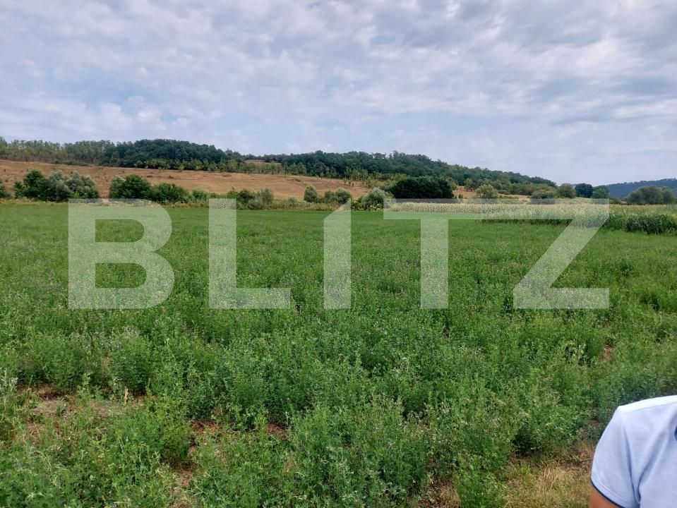 Teren de vânzare Răscruci - 185398TV | BLITZ Cluj-Napoca | Poza2