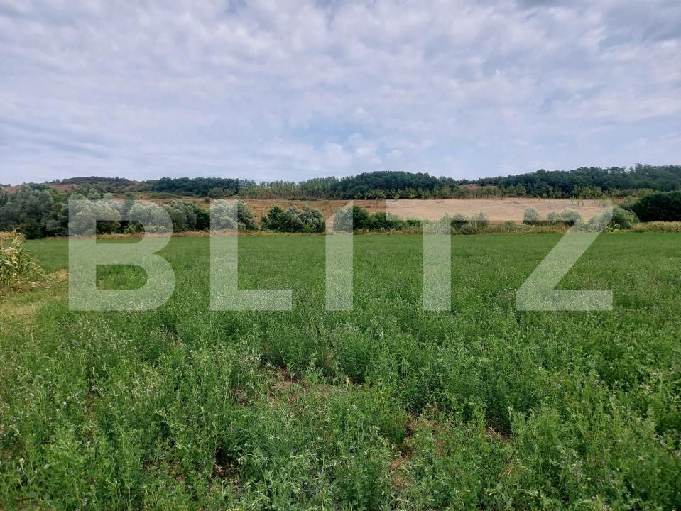 Teren de vânzare Răscruci - 185398TV | BLITZ Cluj-Napoca | Poza4