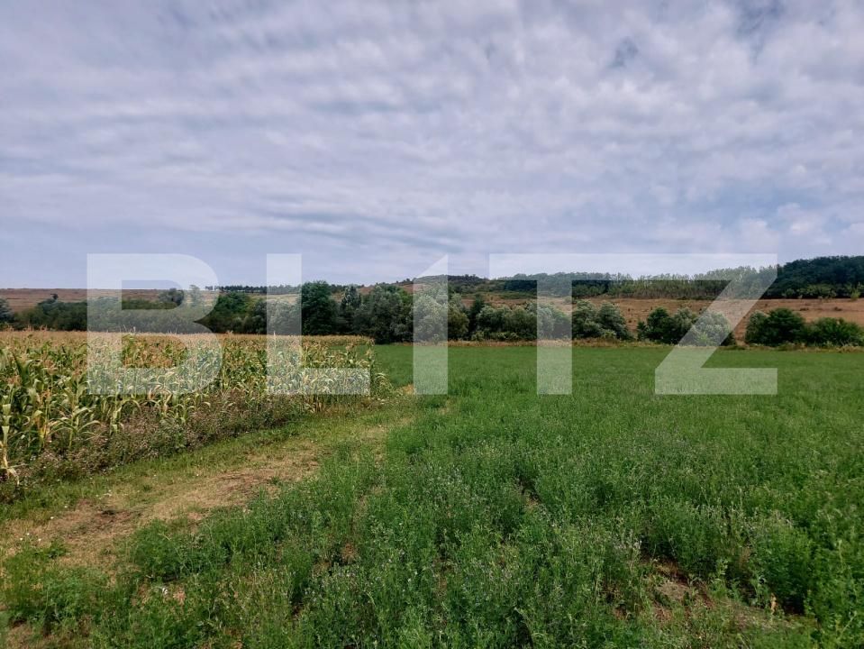 Teren de vânzare Răscruci - 185398TV | BLITZ Cluj-Napoca | Poza2