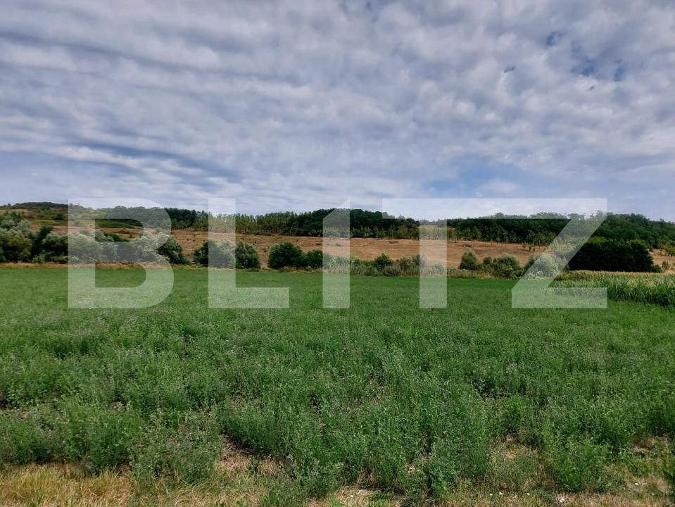 Teren de vânzare Răscruci - 185398TV | BLITZ Cluj-Napoca | Poza6