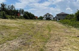 Teren de vanzare - Jucu de sus