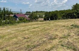 Teren de vanzare - Jucu de sus