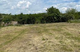 Teren de vanzare - Jucu de sus