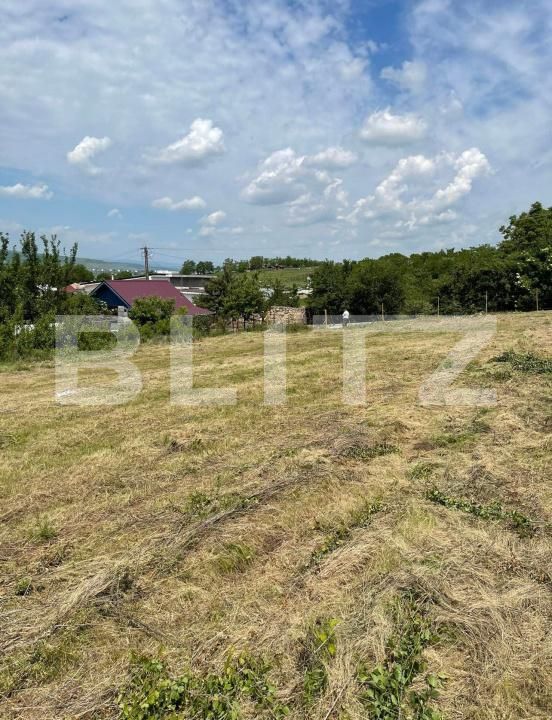 Teren de vânzare Jucu de Sus - 185414TV | BLITZ Cluj-Napoca | Poza2
