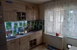 Casa individuala 120 mp utili, Jucu de Mijloc, mobilata, utilata!