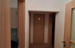 Apartament 3 camere, 66 mp, 2 balcoane închise, Centrul Civic, pet friendly
