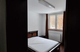 Casă spațioasă de închiriat, 250 mp utili, vedere spre pădure, Zona Noua