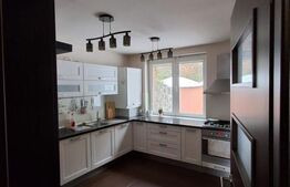 Casă spațioasă de închiriat, 250 mp utili, vedere spre pădure, Zona Noua