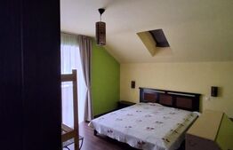 Casă spațioasă de închiriat, 250 mp utili, vedere spre pădure, Zona Noua