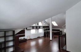 Casă spațioasă de închiriat, 250 mp utili, vedere spre pădure, Zona Noua