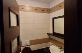 Casă spațioasă de închiriat, 250 mp utili, vedere spre pădure, Zona Noua