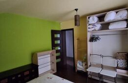 Casă spațioasă de închiriat, 250 mp utili, vedere spre pădure, Zona Noua