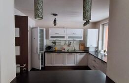 Casă spațioasă de închiriat, 250 mp utili, vedere spre pădure, Zona Noua