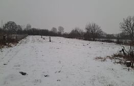 Teren de vânzare Bod - 176584TV | BLITZ Brașov | Poza5