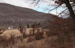 De vanzare Teren extravilan 3300mp - padure, loc. Salicea, jud. Cluj