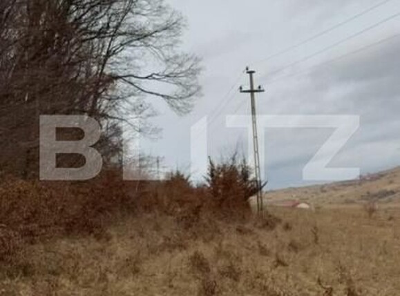 Teren de vânzare Salicea - 185524TV | BLITZ Cluj-Napoca | Poza4