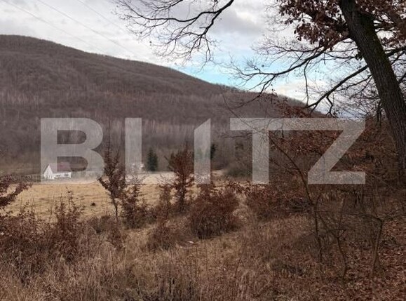 Teren de vânzare Salicea - 185524TV | BLITZ Cluj-Napoca | Poza1