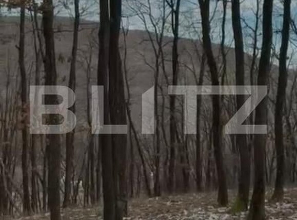 Teren de vânzare Salicea - 185524TV | BLITZ Cluj-Napoca | Poza5