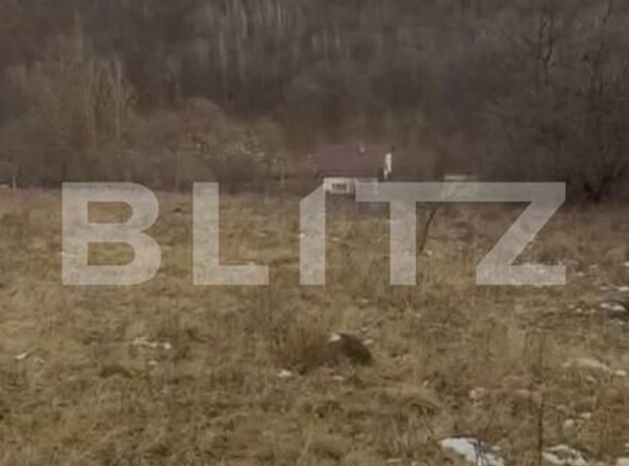 Teren de vânzare Salicea - 185524TV | BLITZ Cluj-Napoca | Poza3