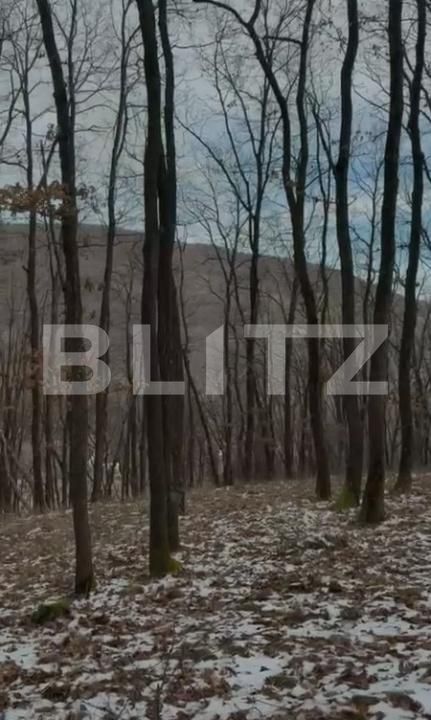 Teren de vânzare Salicea - 185524TV | BLITZ Cluj-Napoca | Poza5