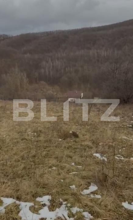 Teren de vânzare Salicea - 185524TV | BLITZ Cluj-Napoca | Poza4
