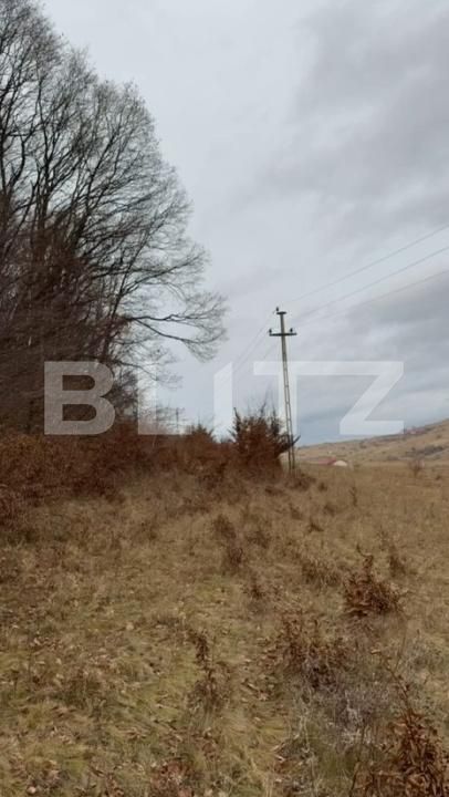 Teren de vânzare Salicea - 185524TV | BLITZ Cluj-Napoca | Poza4