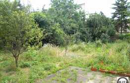 Casa Interbelica In Grigorescu !