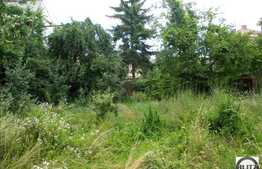 Casa Interbelica In Grigorescu !